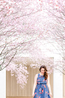 Kiirstn Cherry Blossom Portraits